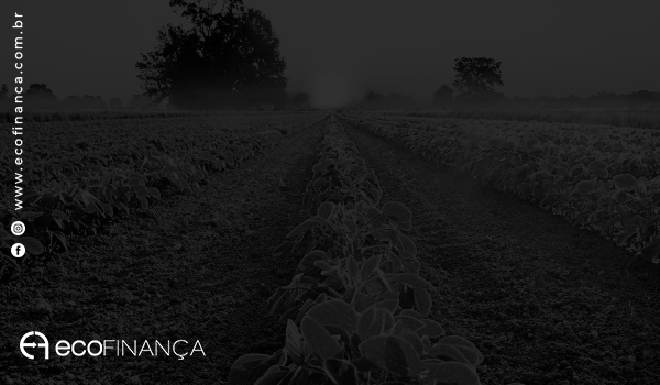 Mercado agro brasileiro
