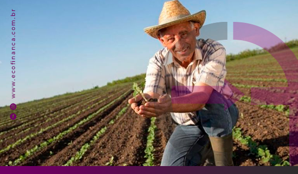 mercado agro na atualidade 