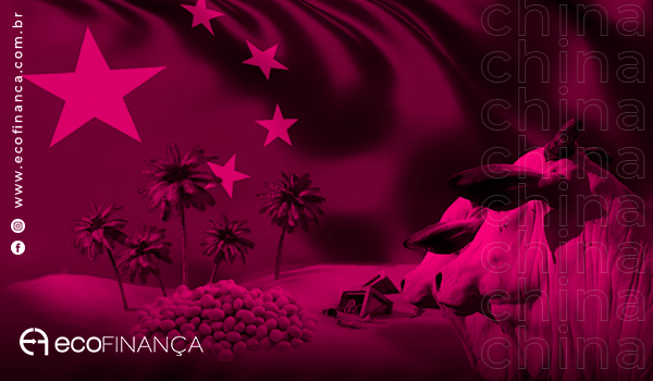 Agronegócio da China
