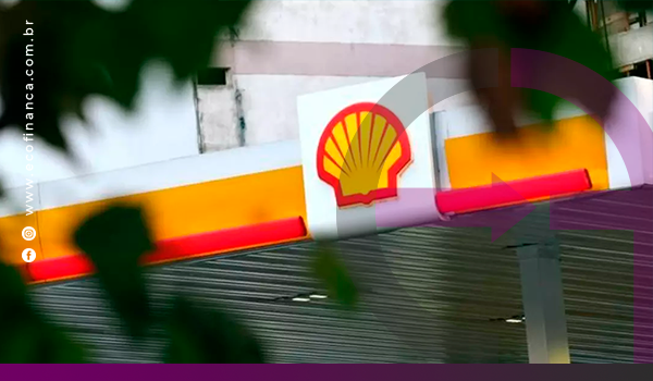 raízen e shell