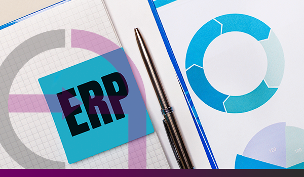 SISTEMA ERP