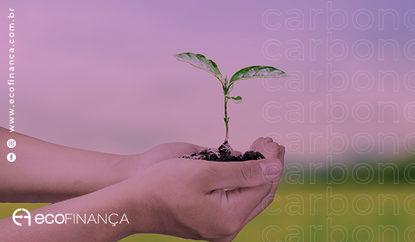 Créditos de carbono; como o Brasil participaria desse mercado bilionário?