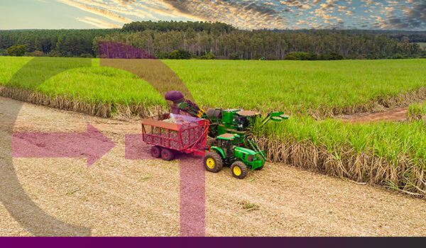 O que o setor Agro pode ensinar para o Brasil.