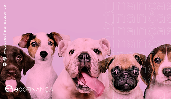 inflacao-e-maior-para-donos-de-pets