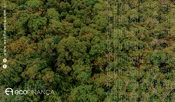 creditos-de-carbono