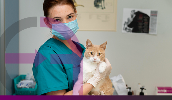 veterinario-pode-ser-mei